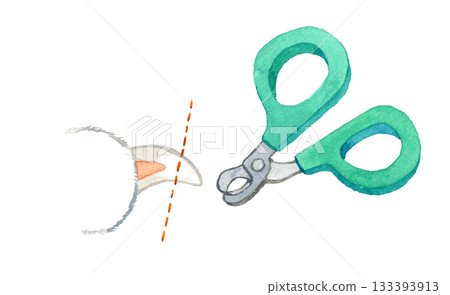 Cat nail clippers - hand-drawn watercolor illustration Cat nail clippers - hand-drawn watercolor illustration 133393913