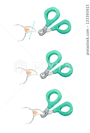 Cat nail clippers (set) Hand-drawn watercolor illustration Cat nail clippers (set) Hand-drawn watercolor illustration 133393915