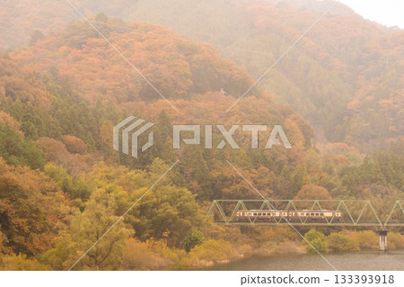 秋山薄霧 133393918