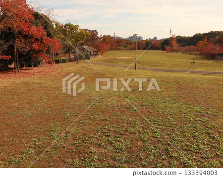 神戶市西區聖心中央公園，秋葉美景 133394003
