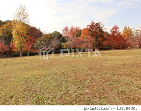 神戶市西區聖心中央公園，秋葉美景 133394005