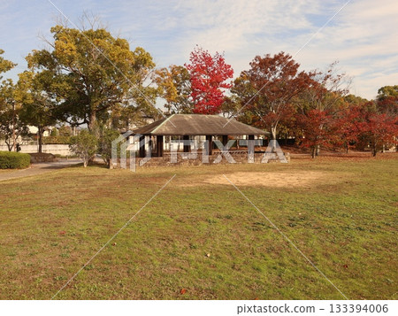 神戶市西區聖心中央公園，秋葉美景 133394006