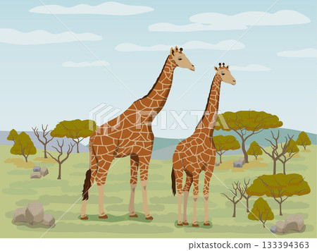 大草原的長頸鹿 133394363