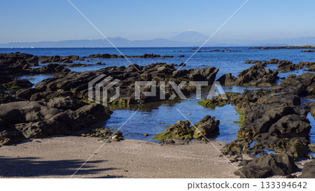 佐島天神島的秋天 佐島天神島的秋天 133394642