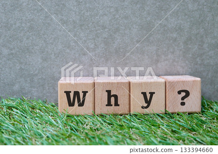 為什麼草地上有方塊和空白區域?這張圖似乎在提出一個問題。 為什麼草地上有方塊和空白區域?這張圖似乎在提出一個問題。 133394660