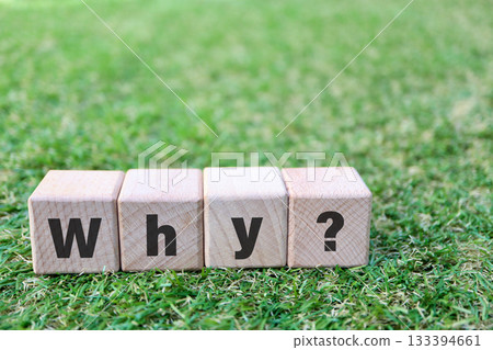 為什麼草地上有方塊和空白區域？這張圖似乎在提出一個問題。 133394661