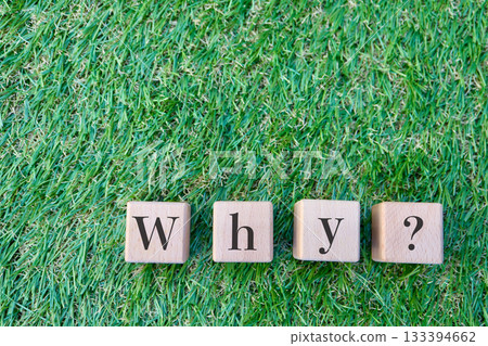 Why blocks and copy space on the grass. Problem-raising image. 133394662