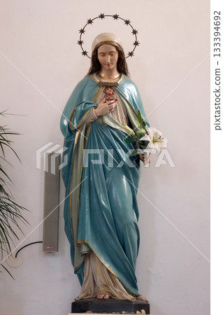 Immaculate Heart of Mary statue in the Church of Assumption of the Virgin Mary in Pokupsko, Croatia Immaculate Heart of Mary statue in the Church of Assumption of the Virgin Mary in Pokupsko, Croatia 133394692