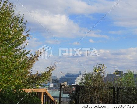 View from Saikiyama Green Space in Ota Ward, Tokyo 133394730