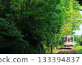 A local train running through the forest 133394837