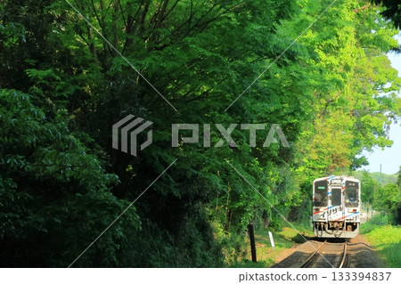 一列當地火車穿過森林 133394837