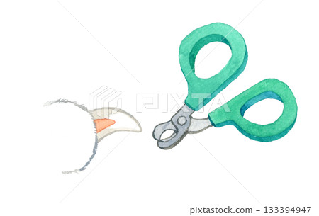 貓指甲鉗 - 手繪水彩插圖 貓指甲鉗 - 手繪水彩插圖 133394947