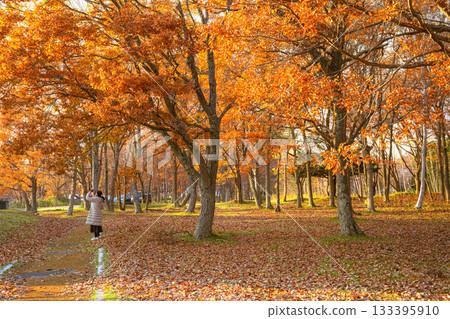 落葉地毯 133395910