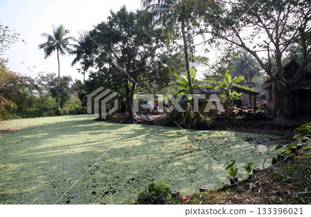 Bengali village Kumrokhali, West Bengal, India 133396021