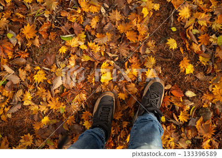 漫步在美麗的秋日森林中 133396589