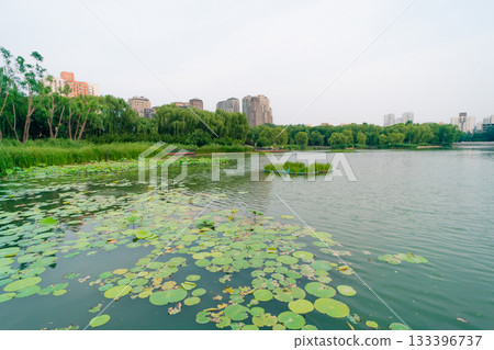 Beijing, China - 3 june 2025 Chao Yang Gong Yuan in summer 133396737