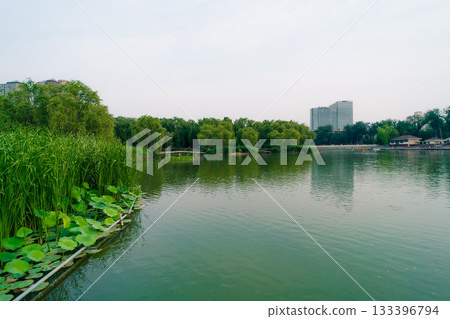 Beijing, China - 3 june 2025 Chao Yang Gong Yuan in summer Beijing, China - 3 june 2025 Chao Yang Gong Yuan in summer 133396794