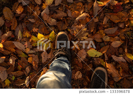 漫步在美麗的秋日森林中 漫步在美麗的秋日森林中 133396878