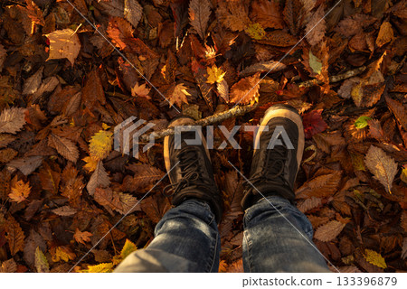 漫步在美麗的秋日森林中 漫步在美麗的秋日森林中 133396879