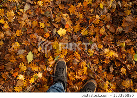 漫步在美麗的秋日森林中 133396880