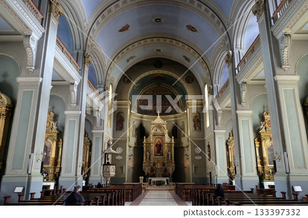 Basilica of the Sacred Heart of Jesus in Zagreb, Croatia 133397332