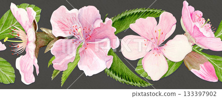 Pink sakura flowers horizontal seamless border watercolor hand-painted in natural botanical style on grey background. Perfect for wedding invitations, spring cards, packaging, textile design. 133397902