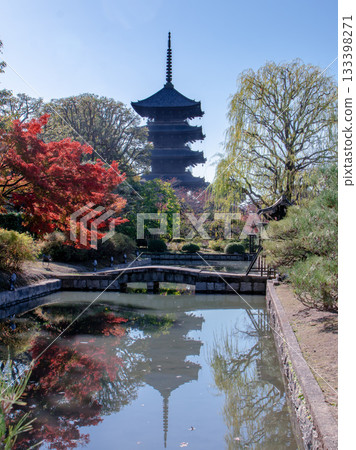 Five-story pagoda and autumn leaves at Toji Temple Five-story pagoda and autumn leaves at Toji Temple 133398271