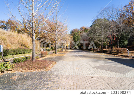 銀杏樹線(秩父繆斯公園) 銀杏樹線(秩父繆斯公園) 133398274