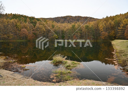 Shrine pond Shrine pond 133398892