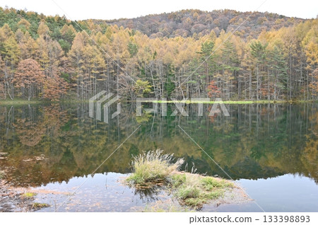 Shrine pond Shrine pond 133398893