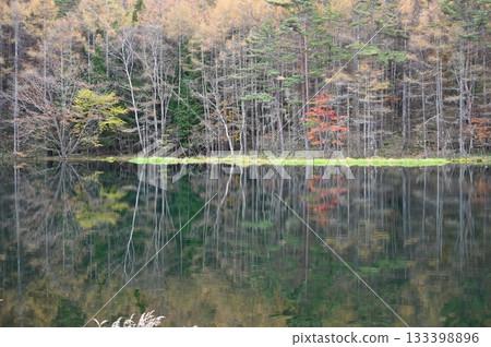 神社池塘 神社池塘 133398896