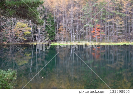 Shrine pond 133398905