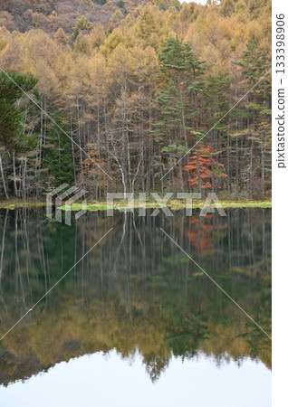 Shrine pond Shrine pond 133398906