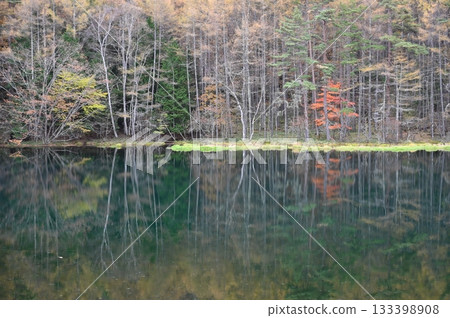 Shrine pond 133398908