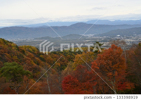 神社池塘 133398919