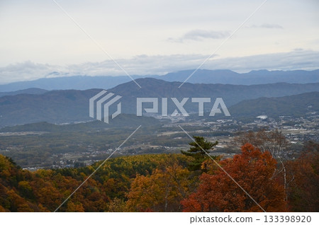 神社池塘 133398920