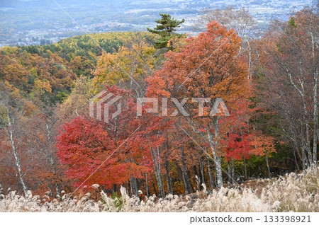 神社池塘 133398921