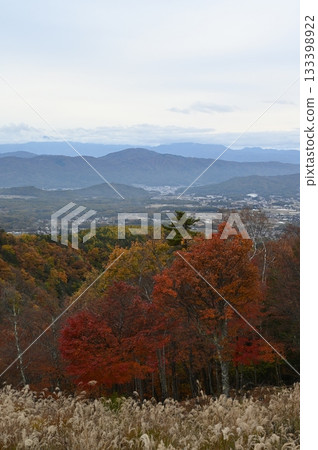 神社池塘 133398922