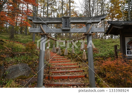 Shrine pond 133398924