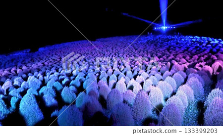 一片被紫色燈光照亮的奇幻景觀 133399203