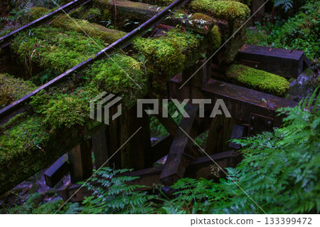 宜蘭見晴古道中被苔蘚覆蓋的荒廢運材鐵道 133399472