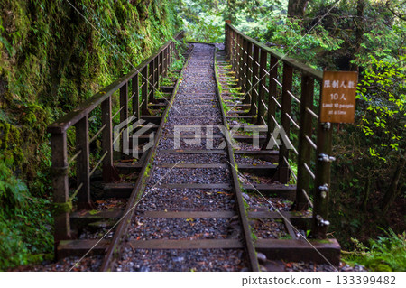 宜蘭見晴古道中被苔蘚覆蓋的荒廢運材鐵道 宜蘭見晴古道中被苔蘚覆蓋的荒廢運材鐵道 133399482