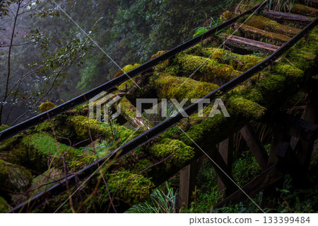 A moss-covered abandoned timber transport railway along the Jianqing Ancient Trail in Yilan. A moss-covered abandoned timber transport railway along the Jianqing Ancient Trail in Yilan. 133399484