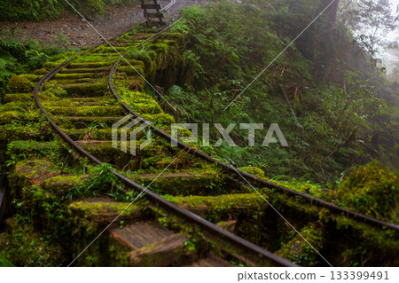 宜蘭見晴古道中被苔蘚覆蓋的荒廢運材鐵道 133399491