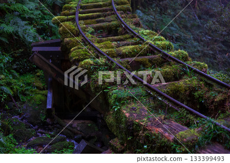 宜蘭見晴古道中被苔蘚覆蓋的荒廢運材鐵道 133399493