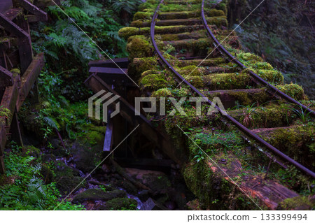宜蘭見晴古道中被苔蘚覆蓋的荒廢運材鐵道 133399494