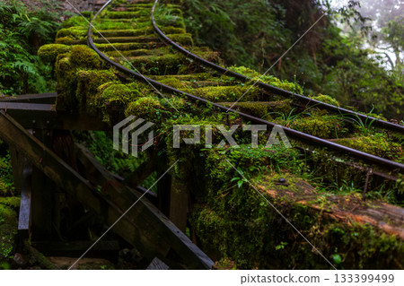 宜蘭見晴古道中被苔蘚覆蓋的荒廢運材鐵道 133399499