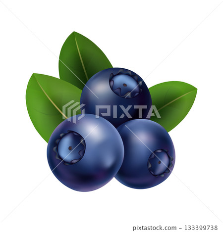 Shimmering blueberry bunches on leafy backdrop art, Colorful illustration showcasing glossy blueberries with dew and vibrant leafy surroundings for culinary presentation Shimmering blueberry bunches on leafy backdrop art, Colorful illustration showcasing glossy blueberries with dew and vibrant leafy surroundings for culinary presentation 133399738