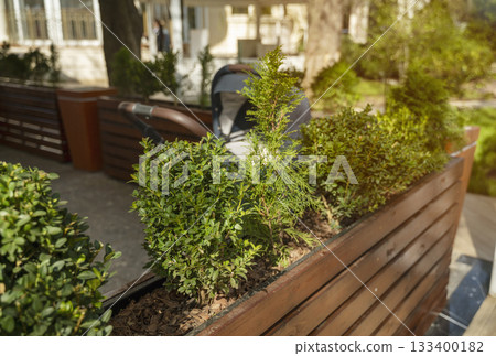A baby carriage stands in the park, in the shade 133400182