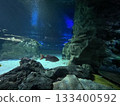 Underwater world 133400592